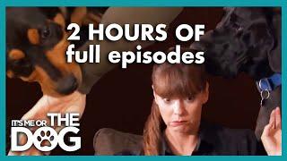 2 HOURS of the most Shocking Full Episodes | It's Me or The Dog