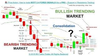  Price Action: How to trade BOTT 2.4 FOREX SIGNALS like a PRO - (Support And Resistance Trading)