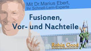 Fusionen, Vor- und Nachteile