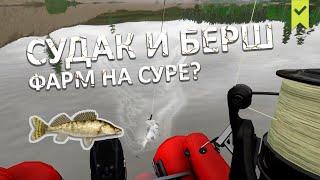 Судак и Берш на р. Сура! Будет ли фарм? - Русская Рыбалка 4