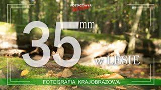  35mm w lesie - fotografia krajobrazowa - Fotografia jest Fajna