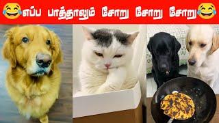 புட்டுக்கு ஏன்  புட்டுனு  பேர் வந்துச்சி???#viral #trending #comedy #funnyanimalvideos