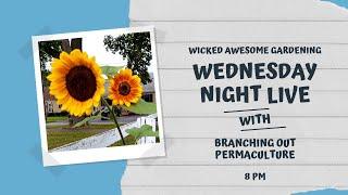 Wednesday Night Live - Special Guest Curtis Hanlon of Branching Out Permaculture