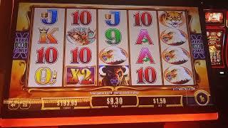 SARACEN CASINO .. LET'S FLIP THIS $100