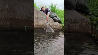 Yung Tinatamad ka na Mangisda pero May Huli pa din Amazing! #fishing #amazing #cambodia