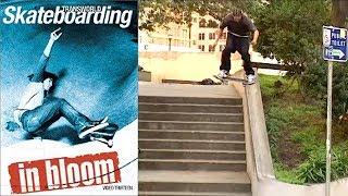 Transworld "In Bloom" (2002)