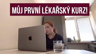 VLOG: ZÁKLADY NEUROLOGIE