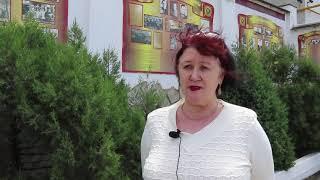 В южные регионы России пришла пора тополиного пуха