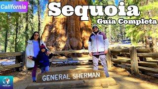 Sequoia National Park in one day! Travel Guide | #California 8