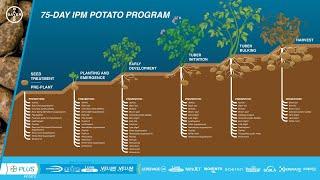 75-Day IPM Potato Program - See what's new for the 2024 season!