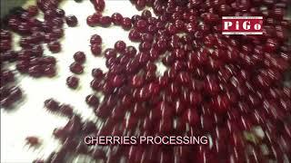 PIGO srl - Fruit processing lines