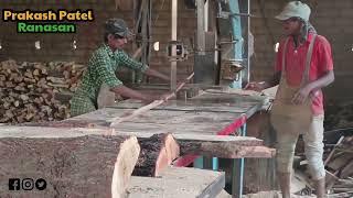 How To Babul Wood Size Cutting at Sawmill | Bandsaw in India@villageboypro9885