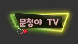 문청야 TV