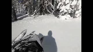 Turbo Snowmobile Tree Riding