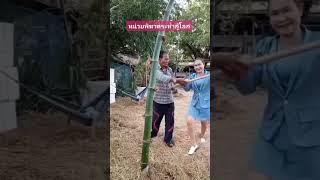 คลิปตลกๆ #คลายเครียด #ตลก #ฮาๆ #shortvideo #คนอีสาน