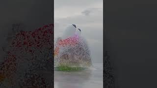 Slither io in real life ocean