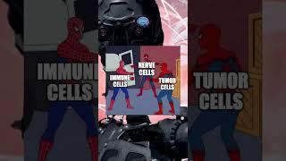 Tumor-neuron-immune interactions - Neurosciences Memes #shorts!