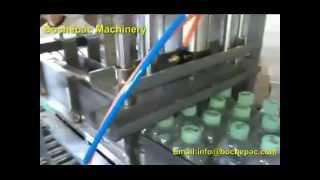 automatic bottle carton packing machine.mp4