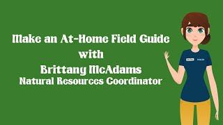 How to Make an At-Home Field Guide