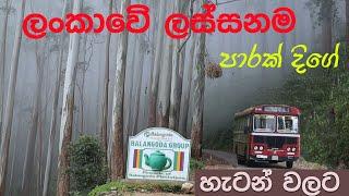 විවිධත්වයෙන් පිරි පාරක් දිගේ හැටන් වලට | Most diversified bus route