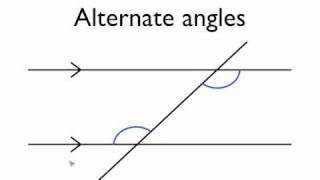 Angles in parallel lines- alternate angles