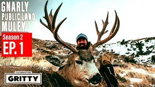 SEASON 2 | EP 1 | GNARLY PUBLIC LAND MULEY | GRITTY FILMS | 4K