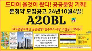 GTX운정중앙역세권 A20 공공분양 드디어 왔다! 모집공고 뽀개기!