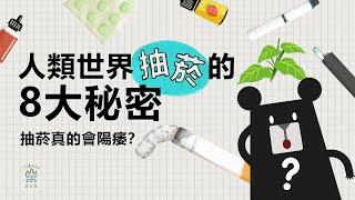 抽菸真的會陽痿？人類世界抽菸的八大秘密｜臺灣吧 Taiwan Bar