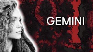 GEMINI (or): ️ Black Velvet ️