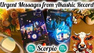 SCORPIO  URGENT MESSAGES FROM AKASHIC RECORDS‍️#tarot #tarotreading #scorpio