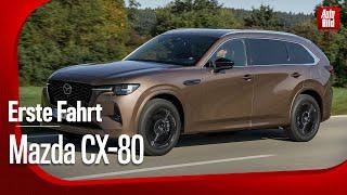 Mazda CX-80 | Nobel-SUV mit bis zu sieben Sitzen | Erste Fahrt mit Dirk Branke