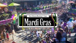 Mardi Gras 2025 Highlight Video