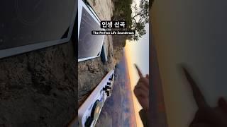 인생 선곡이 있습니까?