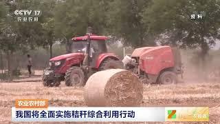 [中国三农报道]农业农村部 我国将全面实施秸秆综合利用行动|农业致富经 Agriculture And Farming