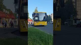 МАЗ-216Большой респект Саше!#maz #automobile #liaz