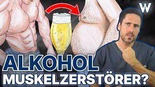 Sportkiller Alkohol? Sind Krafttraining, Muskelwachstum und Sixpack mit Bier, Wein & Co möglich?