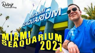 MIAMI SEAQUARIUM 2021 - MIAMI, FLORIDA | Travel Vlog 2021