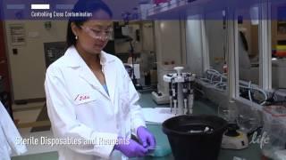 How to Control Contamination in PCR lab