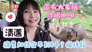 清邁自由行Vlog 說走就走！機加酒不用6千瘋了嗎？還有大象陪你喝咖啡｜週日限定夜市｜我的尼曼不文青 #KKDAY #Chiangmai #尼曼區 #清邁自由行 #清邁