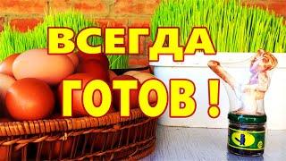 Природная Виагра Для МУЖСКОЙ ПОТЕНЦИИ ! Результат в постели !