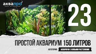 23. Простой аквариум 150 литров. Аквариум с живыми растениями