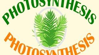 Factors That Affect the Rate of Photosynthesis | Biology for All | FuseSchool