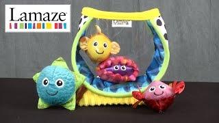 Lamaze My First Fishbowl from TOMY