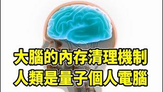 大腦的內存清理機制：大腦是一部量子個人電腦？難道人類是高維文明的AI？