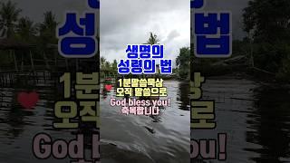 #1분말씀 #생명의 성령의 법 #말씀듣기 #말씀묵상 #1분말씀듣기 #1분말씀묵상 #말씀듣기 #말씀묵상 #성경암송  #짧은설교  #명언 #목양감리교회 #말씀조은tv #shorts