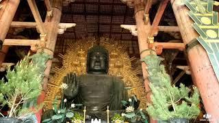 Todaiji - Giant Buddha Temple of Nara Japan 2018