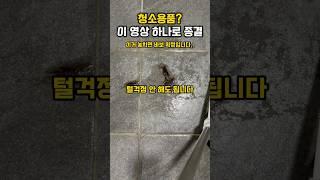 청소용품 종결템 그냥 가져가세요! 네이버에 브리퍼 빗자루 검색!! #주부추천템 #청소용품