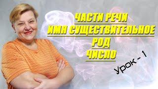  Українська мова з самого НУЛЯ  • Частини мови. Іменник. Рід. Число • 【 Урок - 1 】