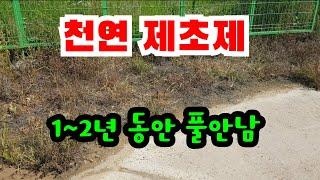 천연제초제 (비농지용) 1년에 한번 끝. 초간단. 풀전멸. (농지에 사용금지) #천연제초제