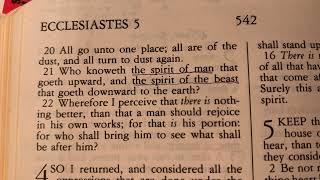 "Animals" Dump your traditions where they dump the Bible!